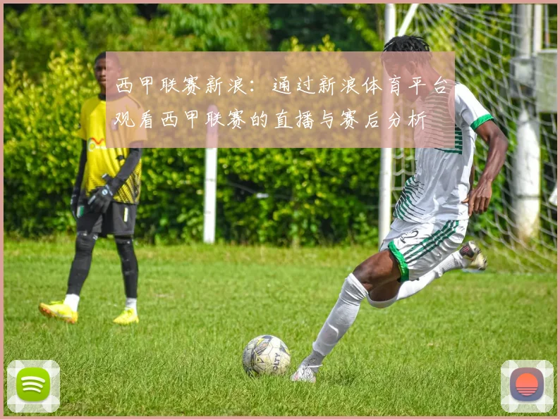 西甲联赛新浪：通过新浪体育平台观看西甲联赛的直播与赛后分析